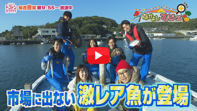 市場に出ない激レア魚のサムネイル画像