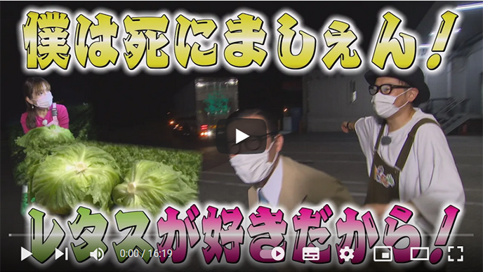 イワイガワのなかよし旬タビ「新鮮！長野県産　レタス」【NCCトコトンHappy】のサムネイル画像