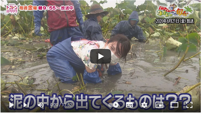 イワイガワのなかよし旬タビ～雲仙うまか鶏皮なしムネ肉スライス＆川上さんちのレンコン～【NCCトコハピ】のサムネイル画像